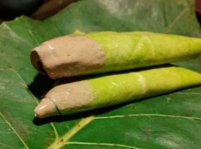 two Pieces of Paan of Varanasi, Banarasi Paan