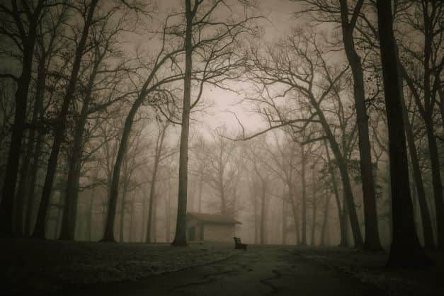 top 5 haunted places in India includes haunted houses, beaches and mines