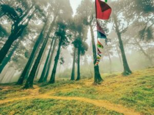 peacefull and calm forest of Lansdowne make it a perfect place for a weekend trip