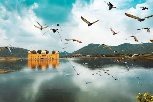 birds flying over the lake during daytime in Jaipur and the 2 days trip is under 6000