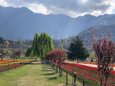 Indira Gandhi memorial tulip garden is best to visit under Kashmir Tourism