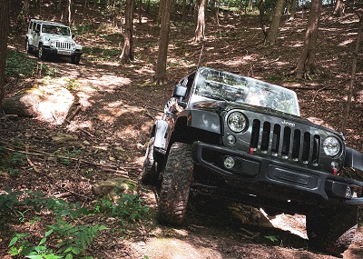 Off Road Jeep Riding among the forests of Coorg