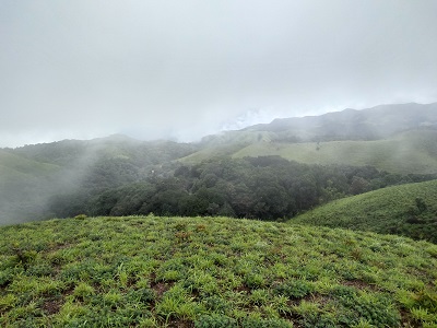 Green mountains near Talakaveri Temple in Coorg