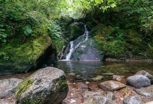 7 tea cups hiking trail in Northern California