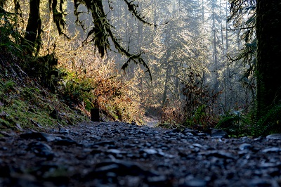 Bradford Hiking Trail in Norther California