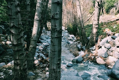 Switzer fall hiking trail with waterfalls