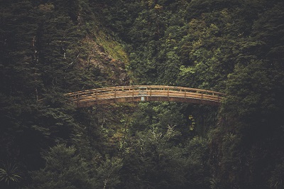 Bridge to Nowhere has one of the most adventurous trails in California and provides activities like bungee jumping, lake jumping etc.