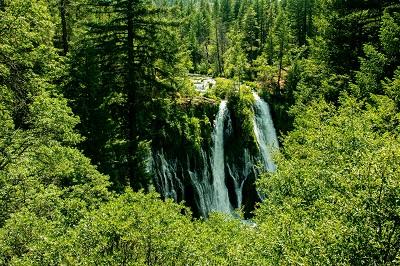 A glimpse of the waterfall behind the trees while camping and hiking to the Burney fall