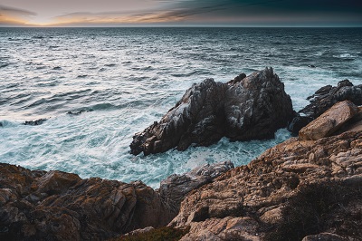 point lobos trail in California