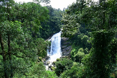 Attukal Waterfall Munnar