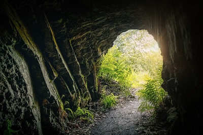 Inside view of a cave at Swiftlet cave in Munnar