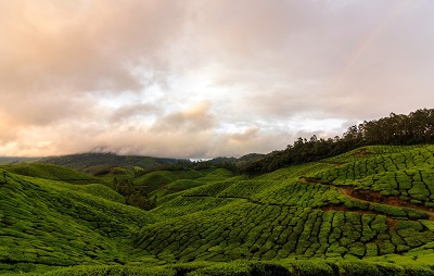 Top Station Munnar