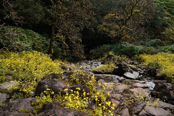 Waterfall in Maharashtra near Bhimshankar