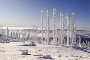 Bavarian Forest, located in Bavaria is one of the best christmas trips near Nuremberg